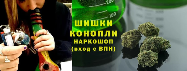 молекула духа Осташков