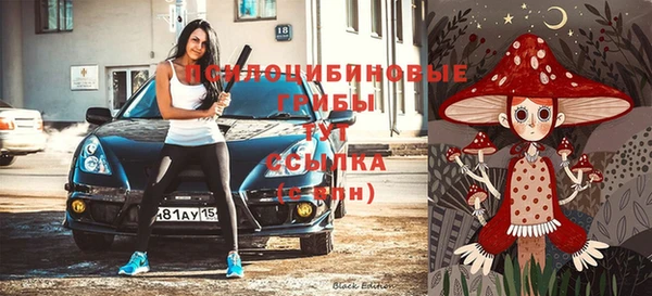 молекула духа Осташков