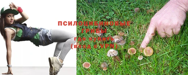 молекула духа Осташков