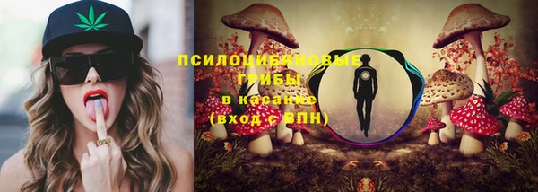 индика Остров
