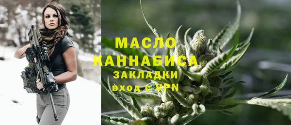 молекула духа Осташков