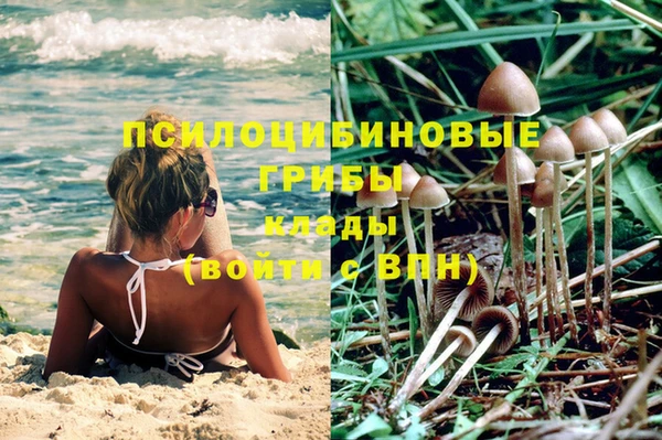 молекула духа Осташков