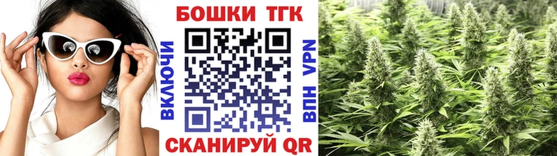 Бошки Шишки индика  Онега 